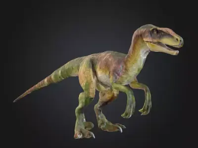 Realistic Velociraptor 3D Model Low-poly 3D model
