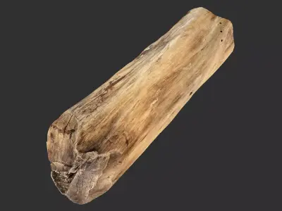 3D Scan Realistic tree timber 3D model