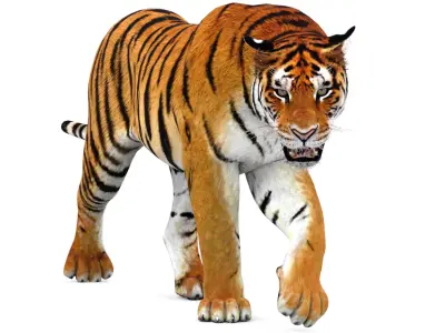 Big Cats Animated 3D model
