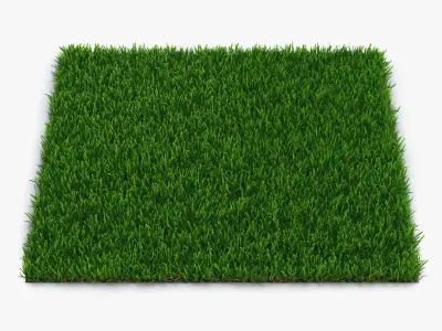  Grass Fields Collection 