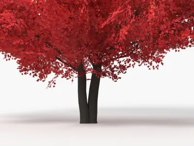 Realistic Lowpoly Red Maple Foliage Tree 