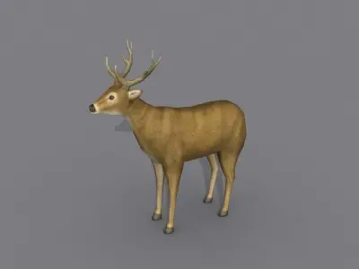 a deer Free 3D model