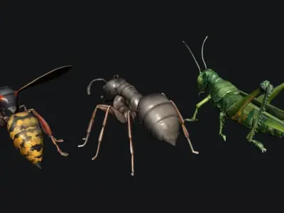 Animals Insect 3D model