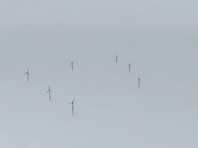 Woolnorth Wind Farm 2 Free 3D model