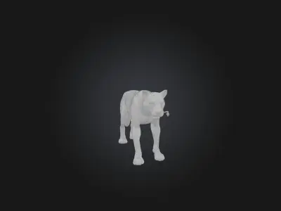 Realistic Leopard Model Low-poly 3D model
