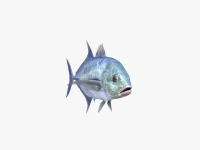 Bluefin Trevally 3D model