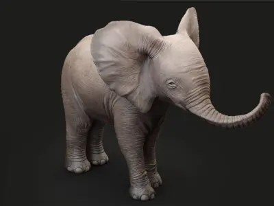 Animated Elephant Baby 3D 3D model