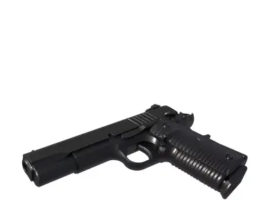 Wilson Combat ACP 3D print model