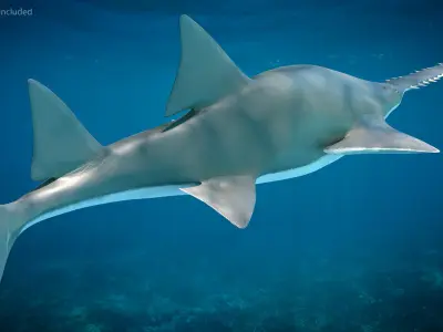 Rigged Sharks Collection 7 for Cinema 4D 3D model