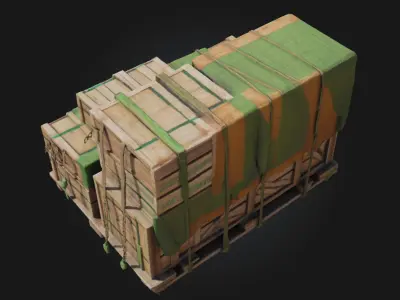 Cargo Pallet  Foundation of Industrial Logistics 3D model