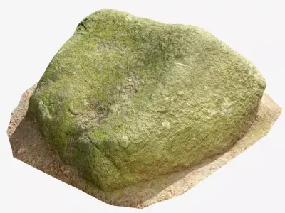 Rock Moss Forest Pbr Scan Part 2 3 Free 3D model