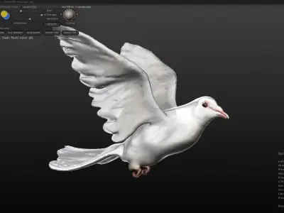 white dove 3D model purchase