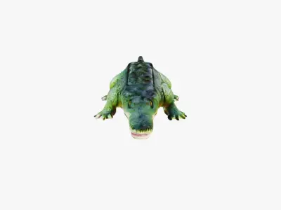 Alligator Free 3D model
