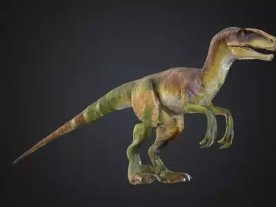 Realistic Velociraptor 3D Model Low-poly 3D model