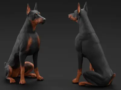 Doberman Pinscher Dog Sits 3D model