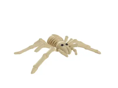 Realistic Spider Skeleton Cute Halloween Decoration 3D print model