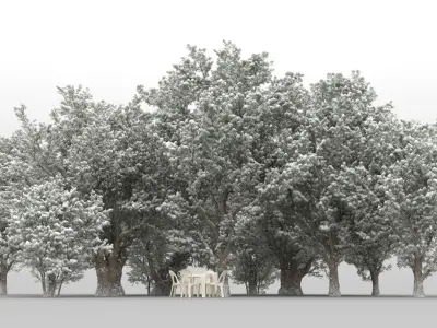 10 Olea Trees with snow 3D model