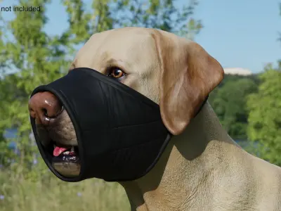 Labrador with Nylon Dog Muzzle 3D model