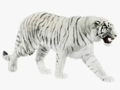Tigers- White and Bengal - UNREAL PROJECTS 3D model