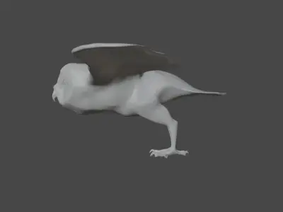 Barn Owl Free 3D model