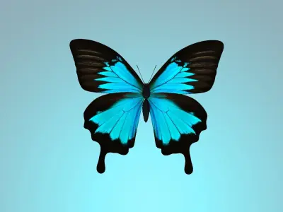 Butterflly butterfly flying in sky 3D model