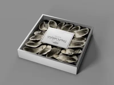 Dried Fish Box 3D model