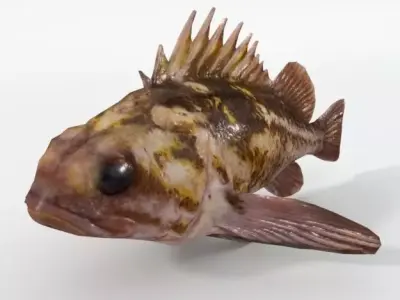 Bottom Fish Low-poly 3D model