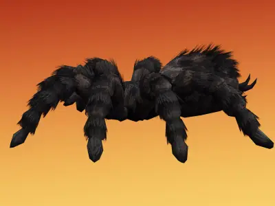 Spider Tarantula Low-poly 3D model purchase