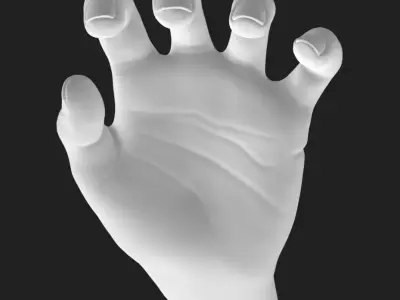 Grasping Hand STL - Flat Back Desk Holder 3D Printable  3D print model