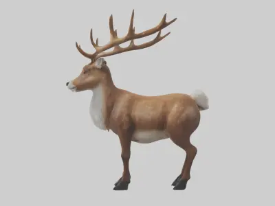Reindeer deer Low-poly 3D model