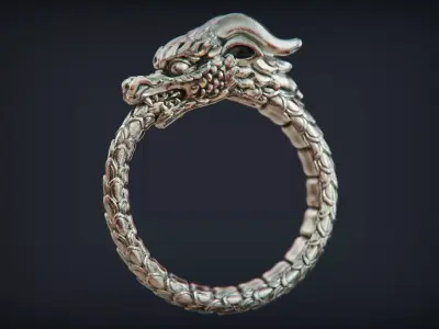 Dragon Ring Ouroboros 3D print model