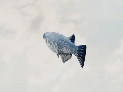Madeka Fish 3D model