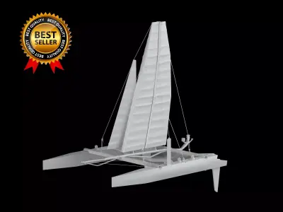 Catamaran Sailing Boat 3D print model