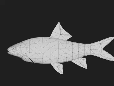 Carp fish Low-poly 3D model
