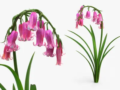 Bluebell Plants Set Mixed 3D model