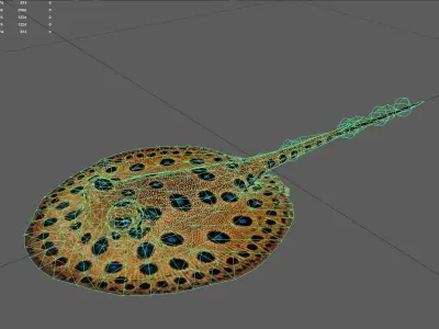 Stingray Low-poly 3D model order