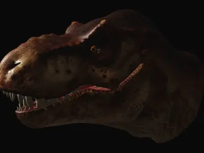 Animated dinasour head Free low-poly 3D model