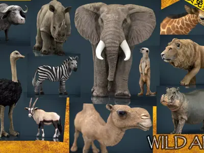 Eleven African animals 3D model