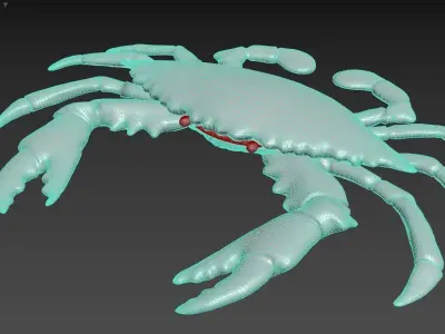 Crab 3D 3D model