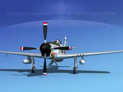P-51D Mustang Miss Dangerous 3D model