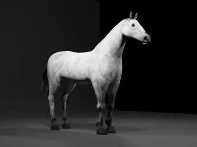 Horse 3D model order