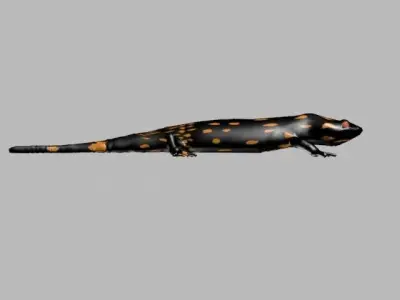 LIZARD LOW POLY 3D model