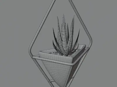 Haworthia in a wall pot Free 3D model