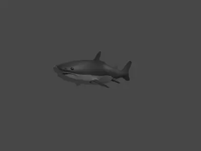Shark Low-poly 3D model 4