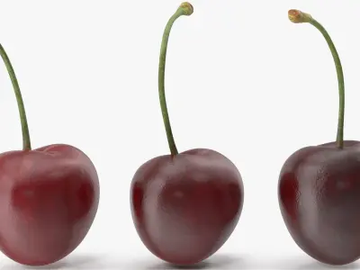 Cherries 3D model purchase