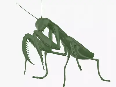 Mantis praying 3D model purchase
