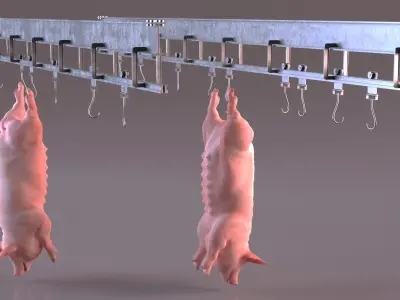  Meat Rail System with Hanging Pig Carcass 