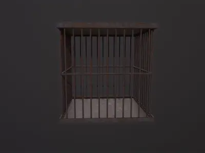 Cage 3D Model  Low-poly 3D model