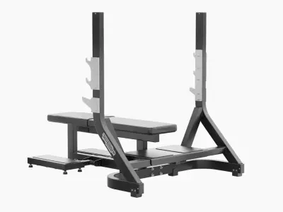 Technogym Olympic Flat Bench Pure 3D model