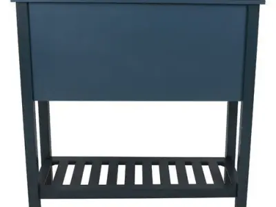 Antique Navy Rosas Console Table 3D model